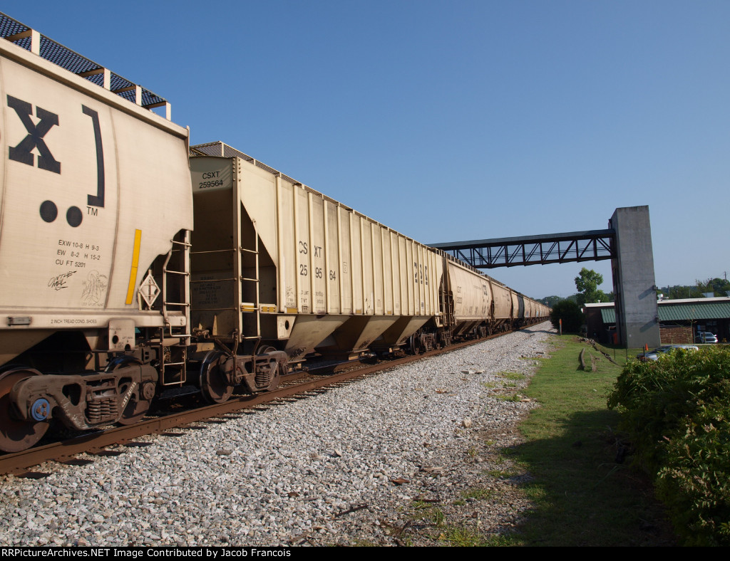 CSXT 259564